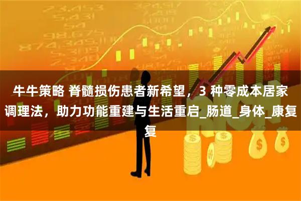 牛牛策略 脊髓损伤患者新希望，3 种零成本居家调理法，助力功能重建与生活重启_肠道_身体_康复