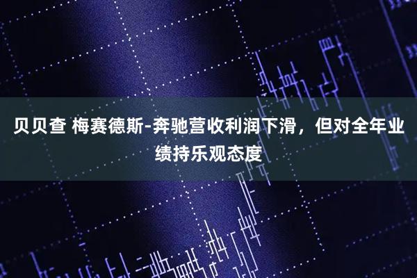 贝贝查 梅赛德斯-奔驰营收利润下滑，但对全年业绩持乐观态度