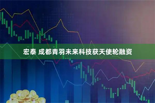 宏泰 成都青羽未来科技获天使轮融资