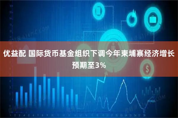优益配 国际货币基金组织下调今年柬埔寨经济增长预期至3%